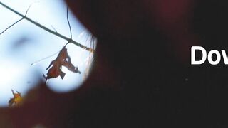 Petit-Canadian Milf Stripping Naked Outdoor - Exclusive Footage