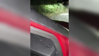 Hot French Milf Loves Getting Fucked in Small Car