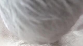 Amateur Pornstar Wannabe #2 - Facial After Blowjob & Riding A Big Dick