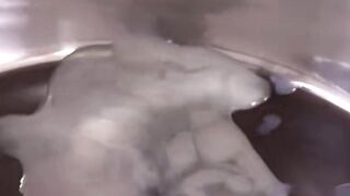 Teens-Swallowing-Blowjobs - Group of Young Ladies Share One Huge Load