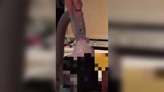 Vacuum Cleaner Fetish - Sexual Fantasy With GIA And MOISA ROBERTS