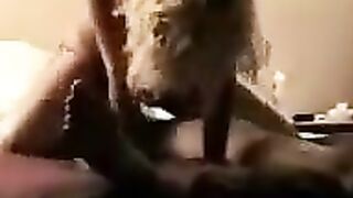 Blondie's Non-Stop Hard Core Ride - Hot Blowjob & Doggy Style Action