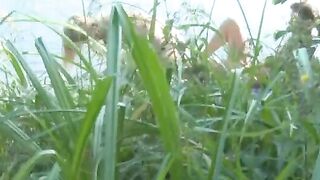 Teen Cutie Valeria Gets Nail Hardcore Fucking in Russian Accent