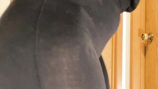 Fat Booty Wifey Sheer Ebony Pants two