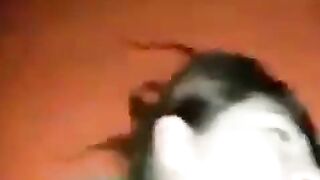 Korean secretary gets her pussy pounded hard in office doggy style