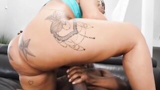 Big Booties Bouncing Vol.2" featuring AshleyBarbiie, Dani, & BrickZillla