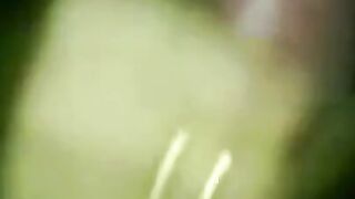 Asian Beauties - Steamy Erotic Encounters
