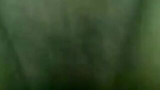 Asian Beauties - Steamy Erotic Encounters