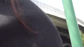 An Adorably Hairless Asiana Girl Unleashes Her Insatiable Pussy in Public