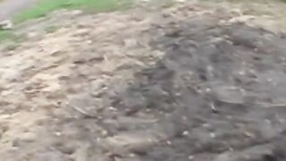 Amateur Babe Rides Huge Dick in Hardcore POV Blowjob & Creampie