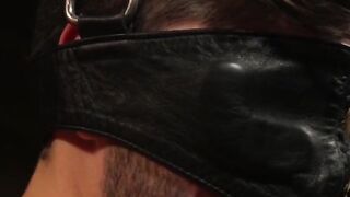 Bondaged Babe Suspended And Fucked Hard By Big Dick Stud - Anal Fucking With A Hot Blonde