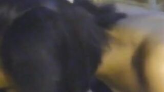 Asian Beauties - Exotic Babe Gives Sensual Oral Pleasure