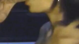 Asian Beauties - Exotic Babe Gives Sensual Oral Pleasure