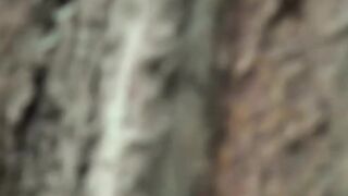 Teen Forest Adventure - Skinny Teen Offers Free Sex in Woods