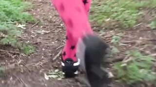 Teen Forest Adventure - Skinny Teen Offers Free Sex in Woods