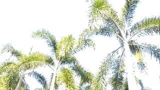 Poolside Public Blowjob & Fucking - Hot Babe in Red Swimsuit Rides Reverse Cowgirl