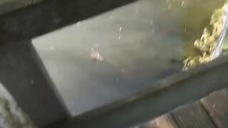 Outdoor Sex Adventures - Raw Dogging With Hot Blonde Babe