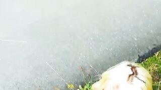 Outdoor Sex Adventure - Ink'd Babe Gets Fucked Outdoors by Hunk