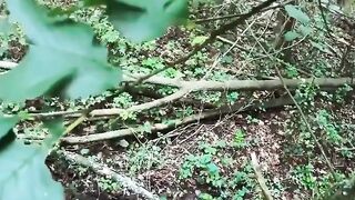 Outdoor Sex Adventure - Ink'd Babe Gets Fucked Outdoors by Hunk