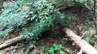 Outdoor Sex Adventure - Ink'd Babe Gets Fucked Outdoors by Hunk