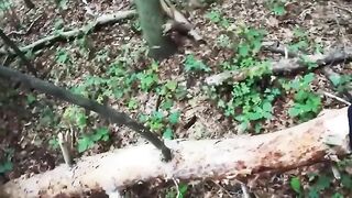 Outdoor Sex Adventure - Ink'd Babe Gets Fucked Outdoors by Hunk