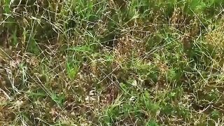 Outdoor Sex Adventure - Ink'd Babe Gets Fucked Outdoors by Hunk