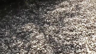 Outdoor Freaks - Fat Chick's Public Fucking Adventure