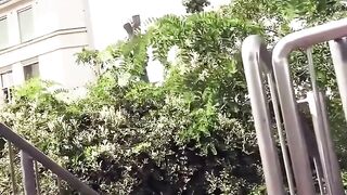 Teen's Wild Nature-Outdoor Orgasmic Blowjob & Riding on Horseback