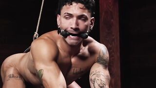 JohnnyFord's XXX - Hot Blonde Babe Sucks And Rides Big Dick In Hardcore POV