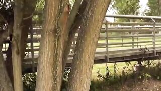 Dark-Haired Vixen With Super Sexy Boobies Fucked Outdoors in Public