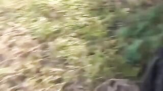 Outdoor Threesome Adventure With Teenage Lovers And Stranger Bro
