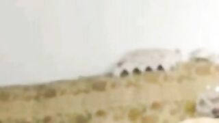 Indian Bombshell Diva - Sensual Erotic Dance & Striptease with Sex Toys