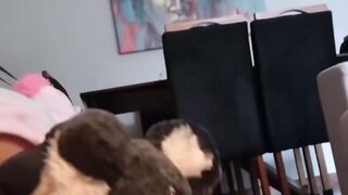 ScarletTaylorXXX Fucks Her Man's Best Friend In Lingerie