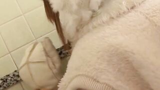 Asian Teenage Cutie Gets A Hardcore Ride In Her First Porn Shoot