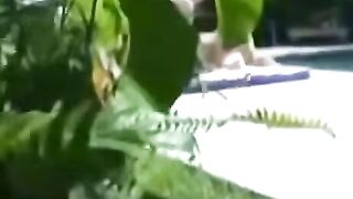 Charity-Bangs Gives Sloppy Blowjob in Park with Big Dick Traviss Scott