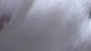Asian Twinks Delight - Raw Anal Threesome Action