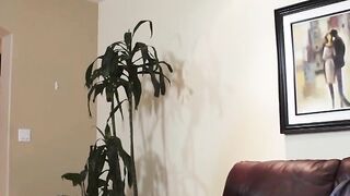 Mature MILF With Inked Body Seduces barely legal Guy And Rides His Big Dick