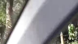 MILF Mistress Gives Her Boyfriend A Blowjob He'll Never Forget