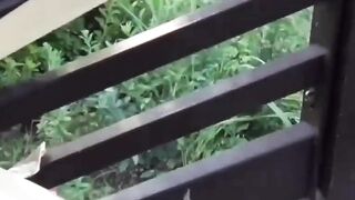 Asian Cutie's Desperate Pee Fetish - Bound & Drenched