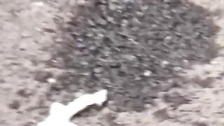 Asian Vixen's Stealth Peeing Adventure