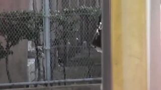 Asian Vixen's Stealth Peeing Adventure