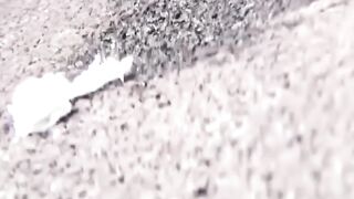 Asian Vixen's Stealth Peeing Adventure