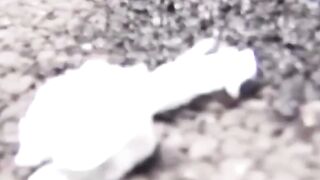 Asian Vixen's Stealth Peeing Adventure