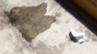 Asian Vixen's Stealth Peeing Adventure