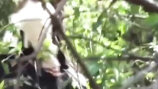 Peeping Tom's Paradise - School Girls Peeing in Public
