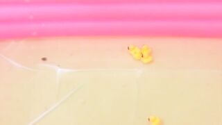 Piss Party - Girls Dive Into A Pee Pool