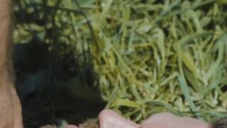 Rock Hard Abs & Ripped Bodybuilder Fucks Raw In The Fields - Scene #1