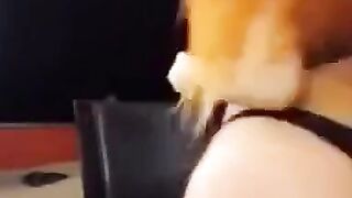 Curvaceous Babe's Sensual Teasing Dance - Erotic Masturbation & Dildo Play