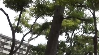 Nature's Calling - Outdoor Pee Break Compilation