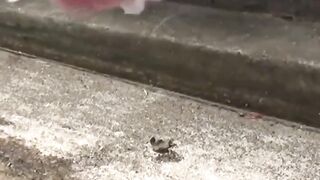Nature's Calling - Outdoor Pee Break Compilation